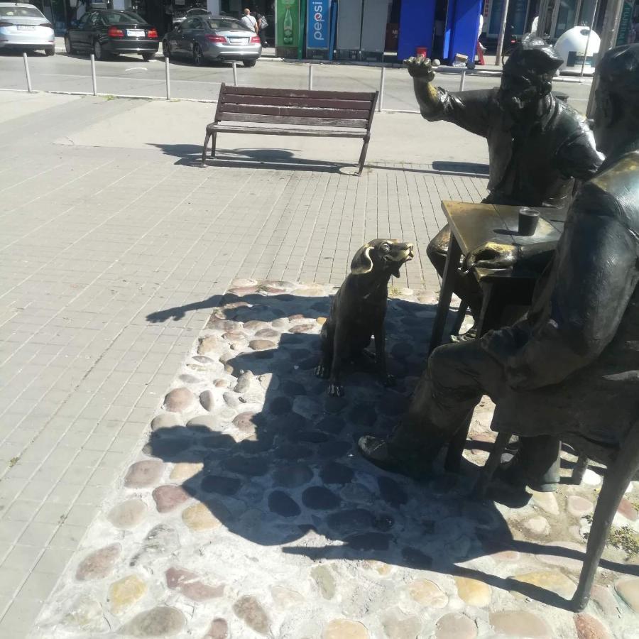 Appartamento Suvi Centar Ni Esterno foto